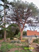 Millora a l'Hort del Bisbe