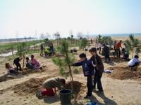 Plantada d'arbres a la platja de la Picòrdia Escola Joan Maragall
