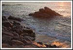 Foto: Josep Roig