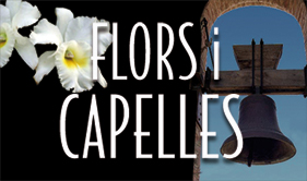 Banner Flors i Onades petit
