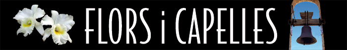 Banner llarg Banner llarg
