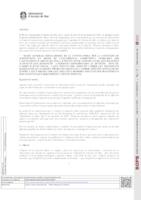 Fitxer Acrobat-PDF de (294.72kB)