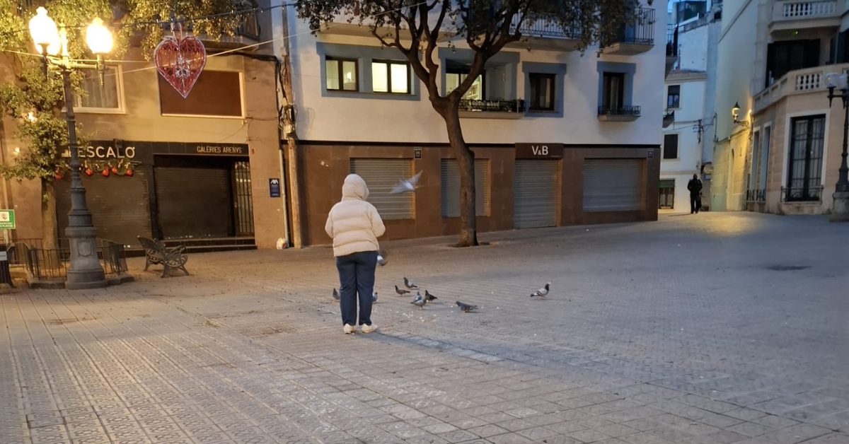 la regidoria de sanitat recorda que està prohibit donar menjar als coloms en espais i vies públiques