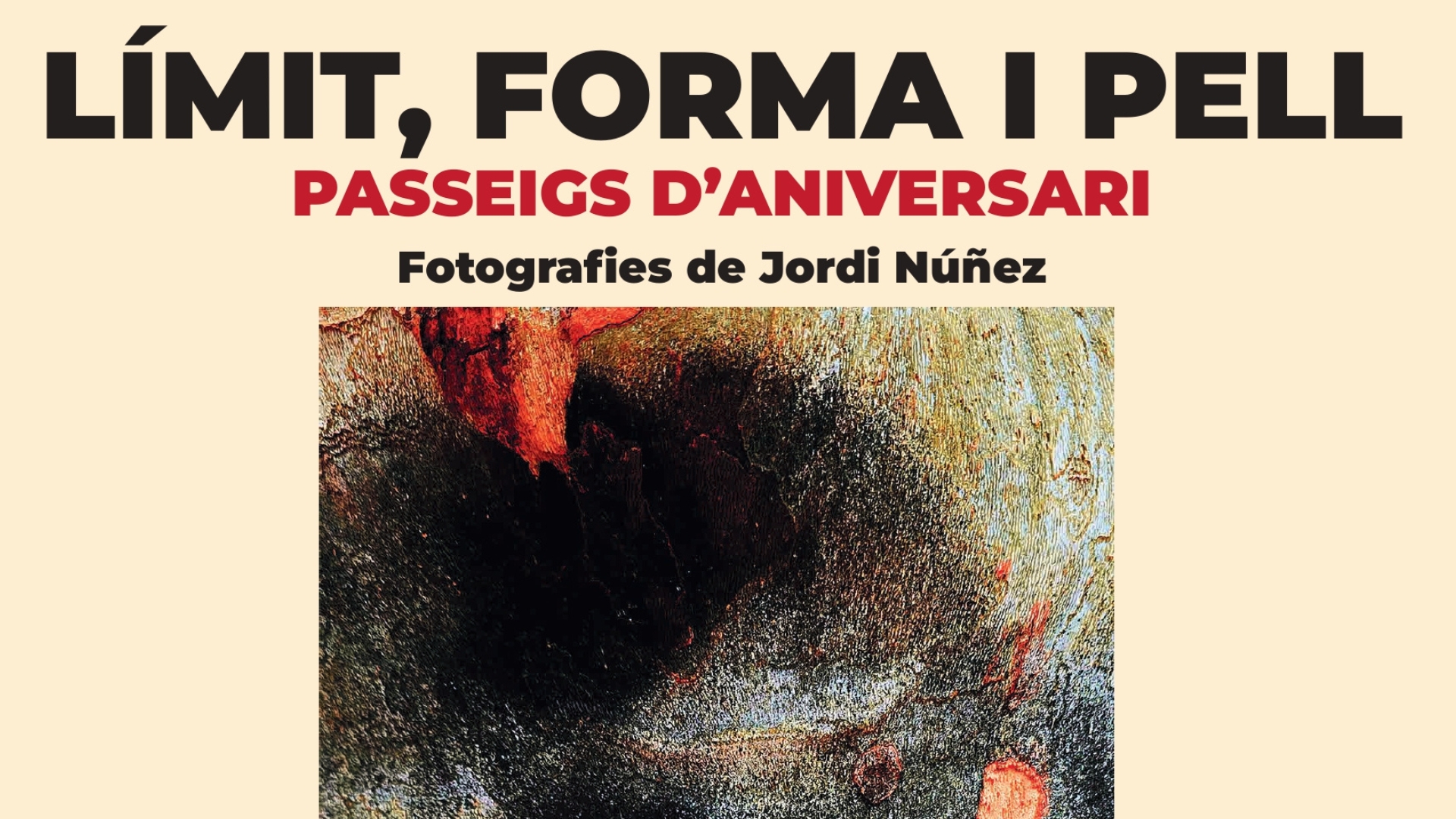 “límit, forma i pell. passeigs d'aniversari”, nova exposició mensual al calisay