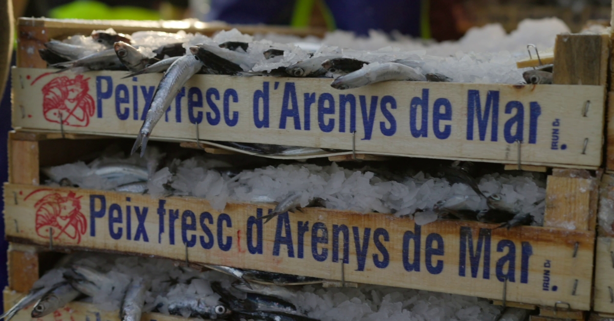 l'ajuntament s'adhereix a la campanya del segell de qualitat "peix de llotja"